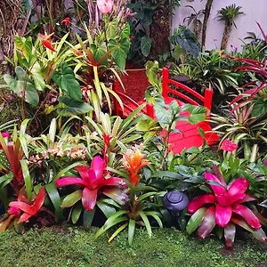  Homestay Paradise At Anthurium Hale United States