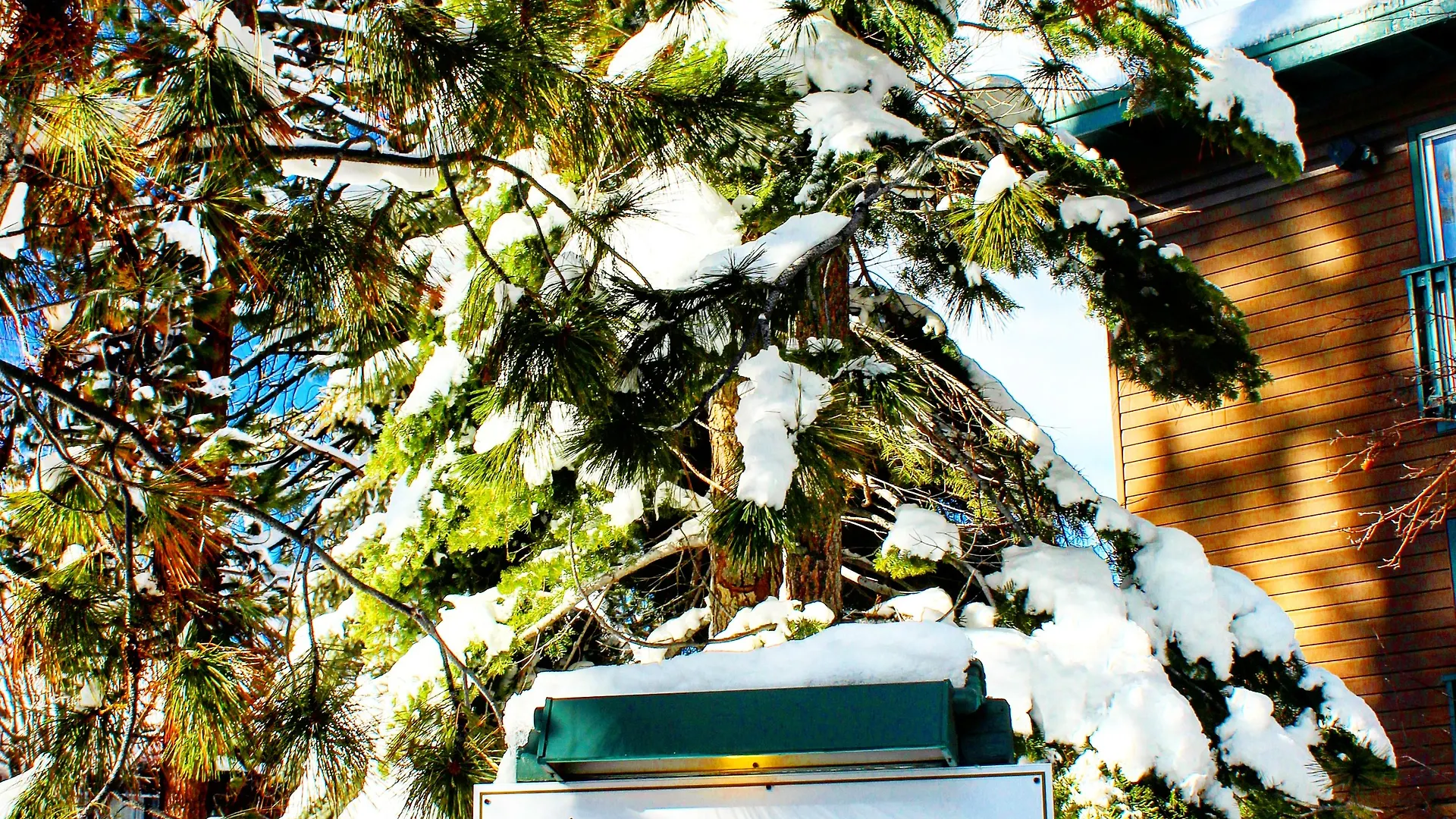 Forest Suites Resort At The Heavenly Village South Lake Tahoe